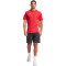 adidas Tiro24 Sweat Fußball-Trainingsshirt Herren AEPU - tepore/white XXL