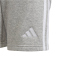 adidas Tiro 24 Sweatshorts Kinder IS1005 - medium grey heather/white 116