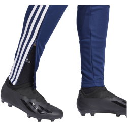 adidas Tiro24 Trainingshose Damen AEQ1 - tenabl/white XS