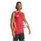 adidas Tiro 24 Competition Trainings-Tanktop Herren IR5474 - team power red 2 S