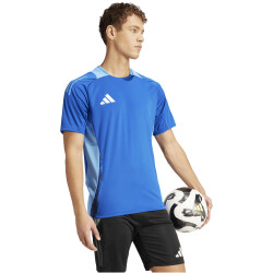 adidas Tiro24 Competition Trainingstrikot Herren AD8R - royblu XS