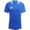 adidas Tiro24 Competition Trainingstrikot Herren AD8R - royblu XS