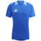 adidas Tiro24 Competition Trainingstrikot Herren AD8R - royblu XS