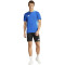 adidas Tiro24 Competition Trainingstrikot Herren AD8R - royblu XS