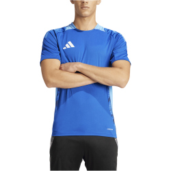 adidas Tiro24 Competition Trainingstrikot Herren AD8R - royblu M