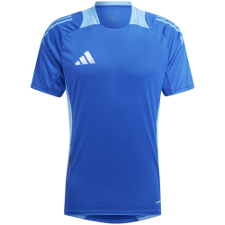 adidas Tiro24 Competition Trainingstrikot Herren AD8R - royblu XL