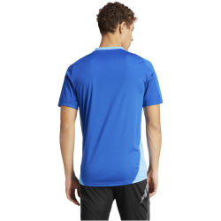 adidas Tiro24 Competition Trainingstrikot Herren AD8R - royblu XL