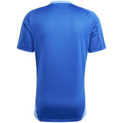 adidas Tiro24 Competition Trainingstrikot Herren AD8R - royblu 3XL