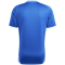 adidas Tiro24 Competition Trainingstrikot Herren AD8R - royblu 3XL