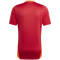 adidas Tiro24 Competition Trainingstrikot Herren AEPU - tepore XS