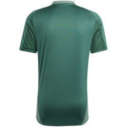 adidas Tiro24 Competition Trainingstrikot Herren AD8T - drkgrn 3XL