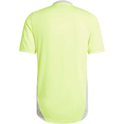 adidas Tiro24 Competition Trainingstrikot Herren AEQ4 - tesoye/gretwo XS