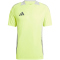 adidas Tiro24 Competition Trainingstrikot Herren AEQ4 - tesoye/gretwo XS