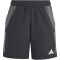 adidas Tiro24 Competition Downtime Trainingsshorts Kinder 095A - black/tmdrgr 116