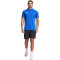 adidas Tiro24 Competition Poloshirt Herren AD8R - royblu XS