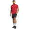 adidas Tiro24 Competition Poloshirt Herren AEPU - tepore XXL