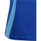 adidas Tiro24 Competition Poloshirt Kinder AD8R - royblu 140
