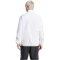 adidas DFB Deutschland Tiro Pr&auml;sentationsjacke 2024 Herren 001A - white S