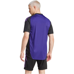 adidas DFB Deutschland Tiro Trainingstrikot 2024 Herren ADF2 - tmcopr L