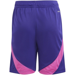 adidas DFB Deutschland Ausw&auml;rtsshorts 2024 Kinder ADF2 - tmcopr 128