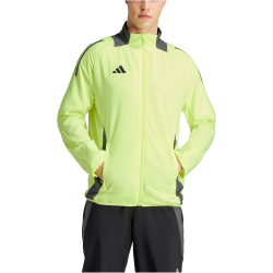 adidas Tiro24 Competition Pr&auml;sentationsjacke Herren AEQ4 - tesoye S