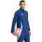 adidas Tiro24 Competition Präsentationsjacke Herren AEQ1 - tenabl XXL