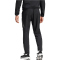 adidas Tiro24 Competition Pr&auml;sentationshose Herren 095A - black/tmdrgr XS