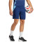 adidas Tiro24 Competition Downtime Trainingsshorts Herren AEQ1 - tenabl L
