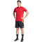 adidas Tiro24 Competition Downtime Trainingsshorts Herren 095A - black/apsord M