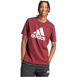 adidas Essentials Big Logo Freizeitshirt Herren AEDQ - shared XS