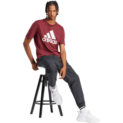 adidas Essentials Big Logo Freizeitshirt Herren AEDQ - shared S