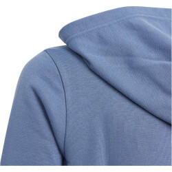 adidas Essentials Two-Colored Big Logo Cotton Hoodie Kinder AF4L - prloin/semspa/white 164