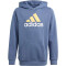 adidas Essentials Two-Colored Big Logo Cotton Hoodie Kinder AF4L - prloin/semspa/white 164