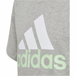 adidas Essentials Two-Color Big Logo Cotton T-Shirt Kinder 83F7 - mgreyh/white/segrsp 128