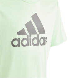 adidas Essentials Big Logo Cotton T-Shirt Kinder AF4B - segrsp/chacoa 128