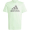 adidas Essentials Big Logo Cotton T-Shirt Kinder AF4B - segrsp/chacoa 128