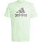 adidas Essentials Big Logo Cotton T-Shirt Kinder AF4B - segrsp/chacoa 128