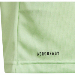 adidas Train Essentials AEROREADY Regular-Fit T-Shirt Kinder AF4B - segrsp/carbon 140