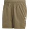 adidas TERREX Multi Outdoorshorts Herren AETE - olistr S