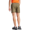 adidas TERREX Multi Outdoorshorts Herren AETE - olistr S