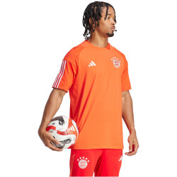 adidas FC Bayern München Tiro 23 Fanshirt Herren 013A - red/brired/white M