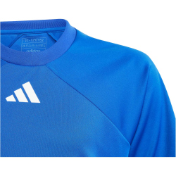 adidas Fortore 23 Trikot Kinder IQ3207 - team royal...