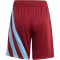 adidas Fortore 23 Shorts Kinder IQ3214 - team coll burgundy 2/team light blue 116