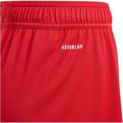 adidas Fortore 23 Shorts Kinder AEPU - tepore/white 116