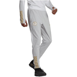 adidas FAF Algerien 2022 Trainingshose Herren ADFE - tmlggr S