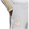 adidas FAF Algerien 2022 Trainingshose Herren ADFE - tmlggr S