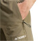 adidas TERREX Liteflex Wanderhose Herren AETE - olistr S