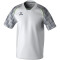 erima EVO STAR Trikot Erwachsene weiß/slate grey M