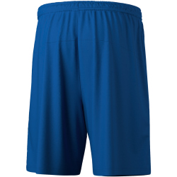 erima Team Trainingsshorts new royal S