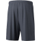 erima Team Trainingsshorts slate grey S